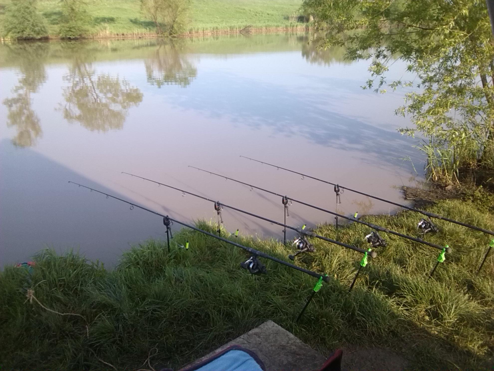 lilieci teleorman - img20140501081420.jpg